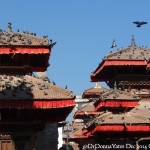 2014.12.09 Kathmandu 28 Durbar Sq Temple tops with birds ResizeBy Donna Yates CC BY-NC-SA