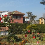 2014.12.10 Kathmandu 67 National Museum Grounds ResizeBy Donna Yates CC BY-NC-SA