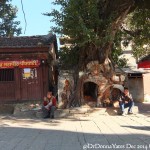 2014.12.09 Kathmandu 64 Durbar Sq Tree shrine ResizeBy Donna Yates CC BY-NC-SA