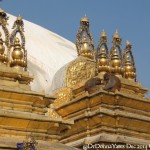 2014.12.10 Kathmandu 19 Swayambhunath monkeys on top ResizeBy Donna Yates CC BY-NC-SA