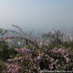 2014.12.10 Kathmandu 35 Swayambhunath view of Kathmandu ResizeBy Donna Yates CC BY-NC-SA