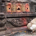 2014.12.11 Bhaktapur 13 Chicken at shrine ResizeBy Donna Yates CC BY-NC-SA